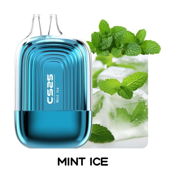 z4786938910400_3ea6424665ad923a77ba5722fa3107e3 CS25 9000 Hơi - Pod 1 dùng Lần Có Sạc - Chính Hãng